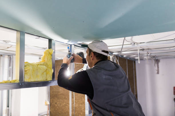 Best Fiberglass Insulation  in Pine Grove, CA