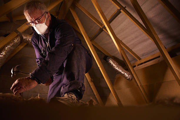 Best Insulation Inspection Services  in Pine Grove, CA