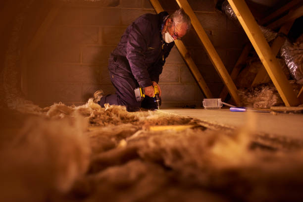 Best Local Insulation Services  in Pine Grove, CA